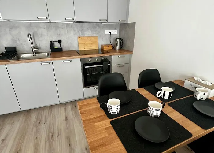 Prague Airport Apartment *